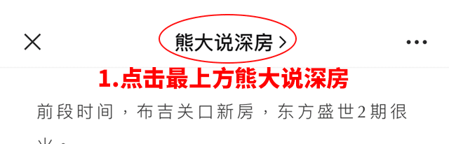 深圳中介卖豪宅_我在深圳卖豪宅：比小房子好卖_小s豪宅和王莹豪宅