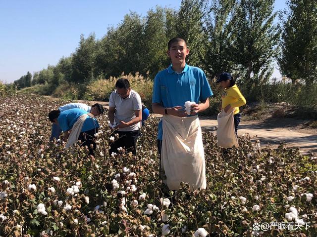 高中4班班名班级格言班徽_建行卡收fo收公本费吗?_官方回应高中一个班收8万班费
