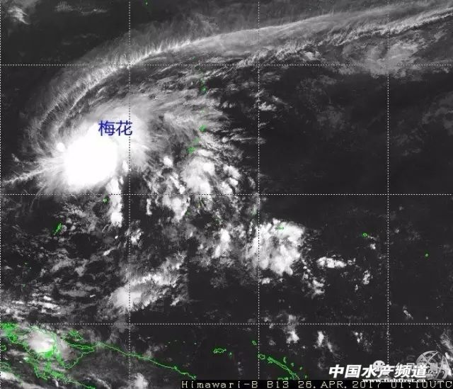 台风灿鸿来袭_台风梅花来袭_台风来袭作文