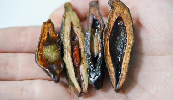 傅松患口腔癌去世_癌患求助烟台百度_奥黛丽·赫本患什么癌