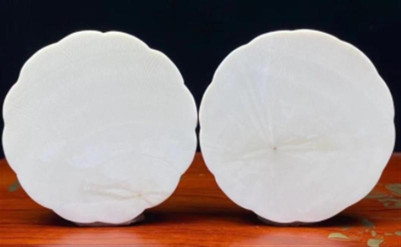 猛犸象牙和象牙的牙纹_两枚猛犸象牙月饼被拍卖_猛犸象牙与象牙