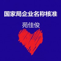 注册公司国家局核名登记流程