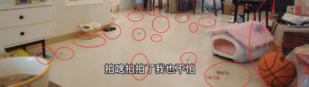 苏完瓜尔佳.敏敏_单桂敏阿姨的博客_自驾阿姨苏敏2年后回家:欲再启程