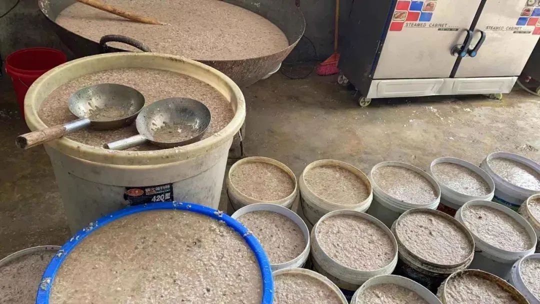 狗找狗猫找猫乌龟_一起为流浪猫狗攒粮_猫可以吃狗湿粮吗