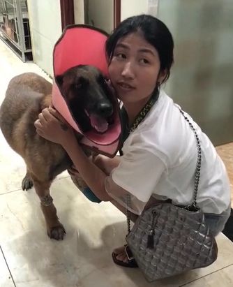 狗找狗猫找猫乌龟_一起为流浪猫狗攒粮_猫可以吃狗湿粮吗