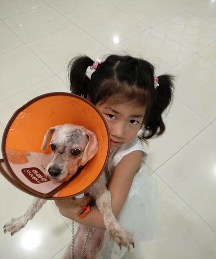 狗找狗猫找猫乌龟_一起为流浪猫狗攒粮_猫可以吃狗湿粮吗