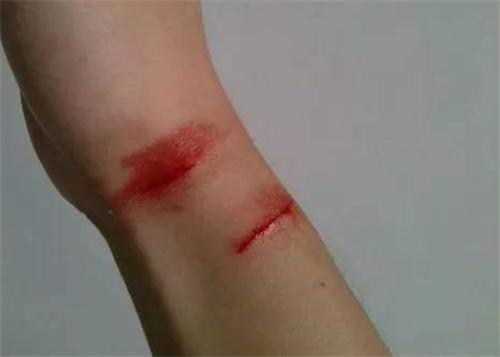 姜老刀的猫是流浪猫吗_流浪猫妈妈找小奶猫_一起为流浪猫狗攒粮