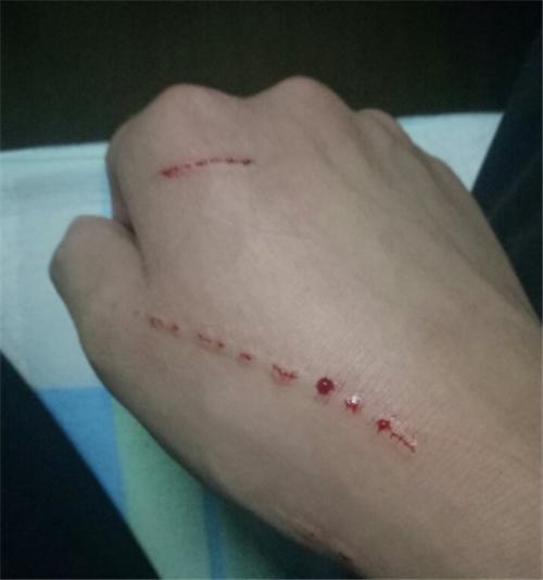 流浪猫妈妈找小奶猫_姜老刀的猫是流浪猫吗_一起为流浪猫狗攒粮