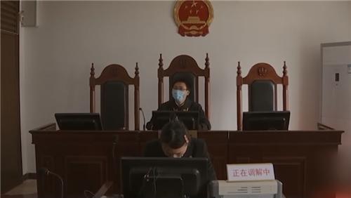 流浪猫妈妈找小奶猫_一起为流浪猫狗攒粮_姜老刀的猫是流浪猫吗