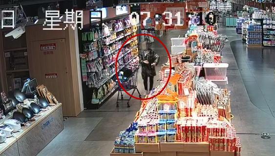 狗找狗猫找猫_猫走失变成流浪猫结果_一起为流浪猫狗攒粮