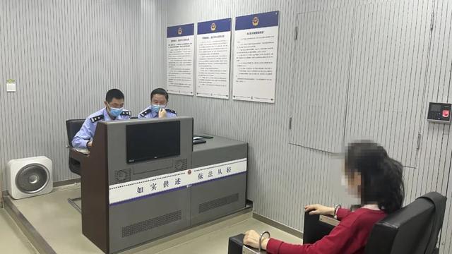 狗找狗猫找猫_一起为流浪猫狗攒粮_猫走失变成流浪猫结果