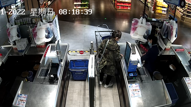 猫走失变成流浪猫结果_一起为流浪猫狗攒粮_狗找狗猫找猫