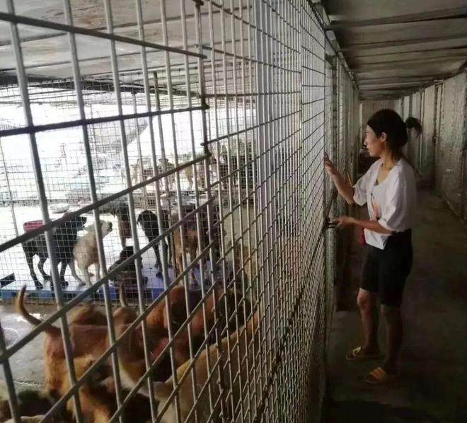 猫湿粮和猫罐头的区别_起点的月票可以攒不_一起为流浪猫狗攒粮