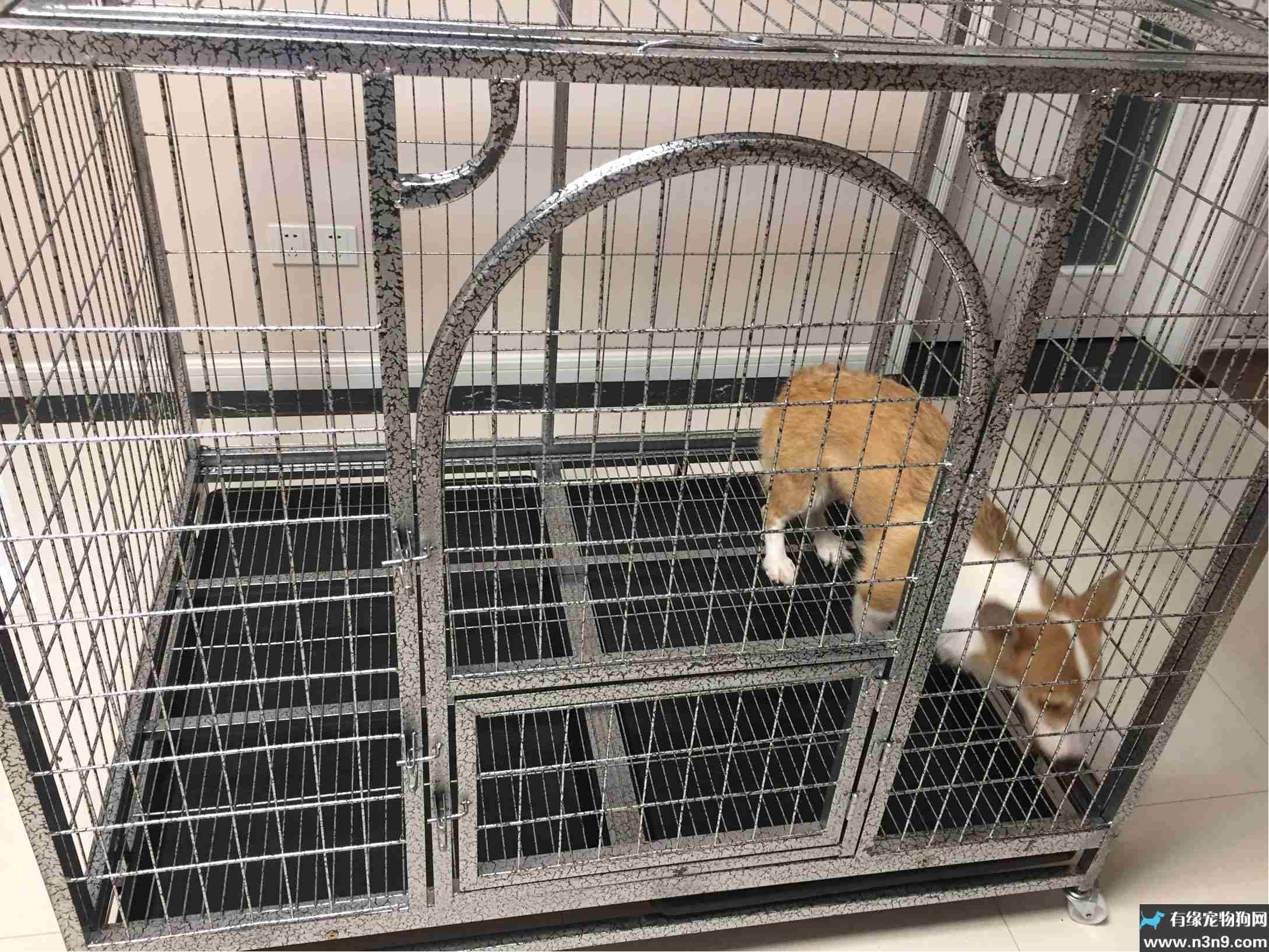 起点的月票可以攒不_一起为流浪猫狗攒粮_猫湿粮和猫罐头的区别