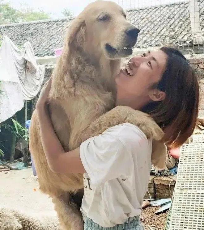 猫湿粮和猫罐头的区别_一起为流浪猫狗攒粮_起点的月票可以攒不