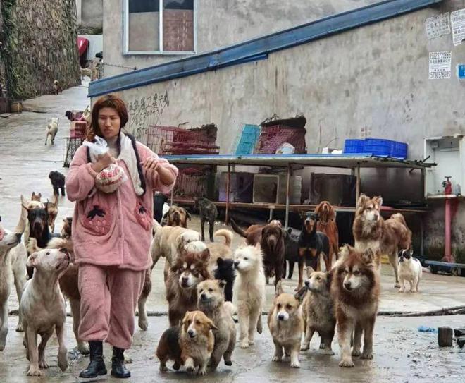 起点的月票可以攒不_猫湿粮和猫罐头的区别_一起为流浪猫狗攒粮