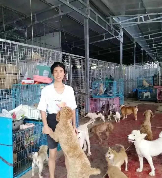 起点的月票可以攒不_猫湿粮和猫罐头的区别_一起为流浪猫狗攒粮