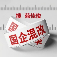 私企办理央企混改的要求费用流程