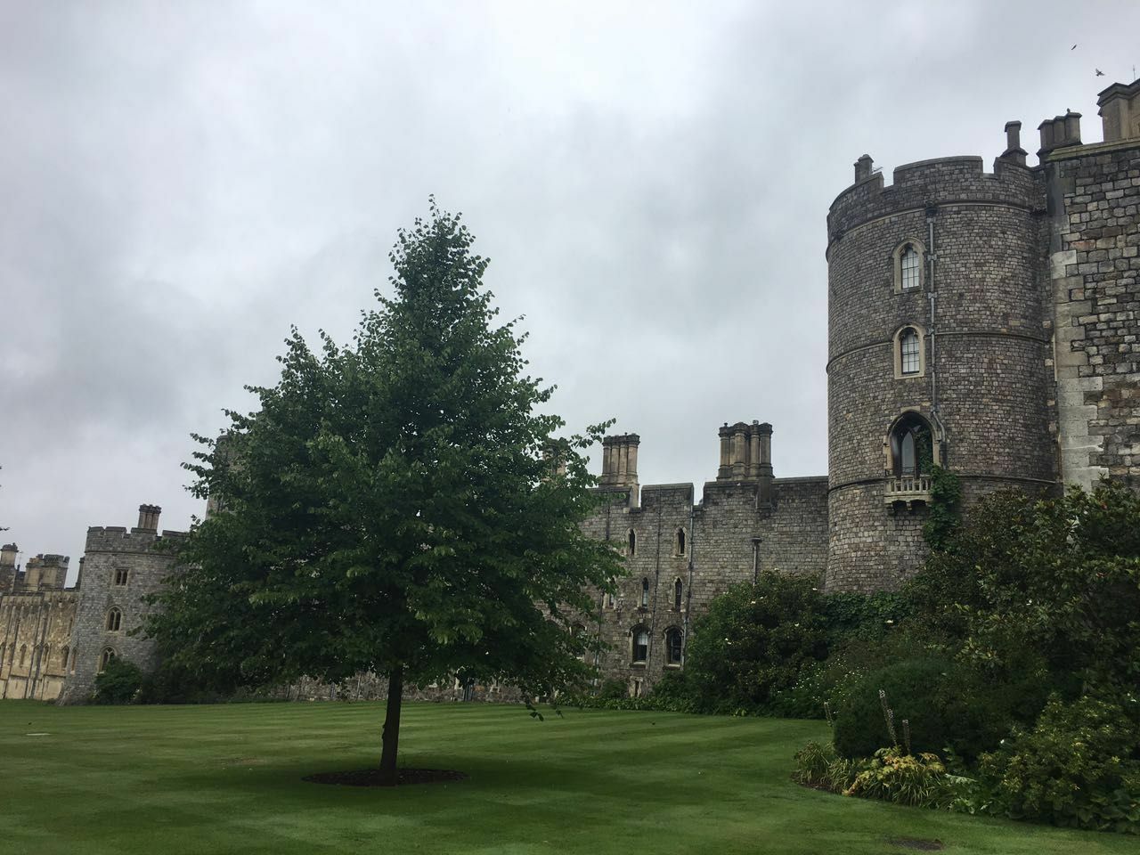 哈里 梅根_梅根哈里怎么认识_威廉凯特和哈里梅根久违同框