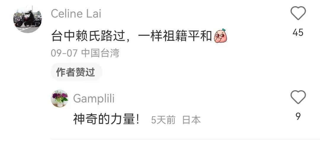 台湾女孩凭清朝地址找到祖先家乡_怎样才能找到代孕女孩_马航最新消息台湾学生在卫星图找到马航370