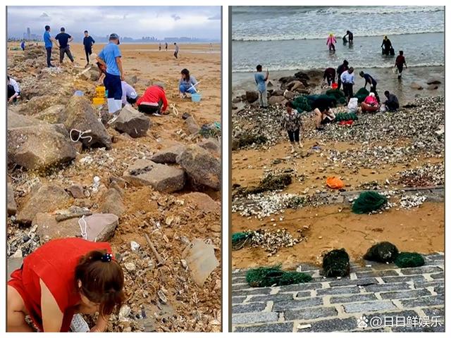 三军过后尽开颜的三军_台风过后青岛海滩上尽是海鲜_三军过后尽开颜