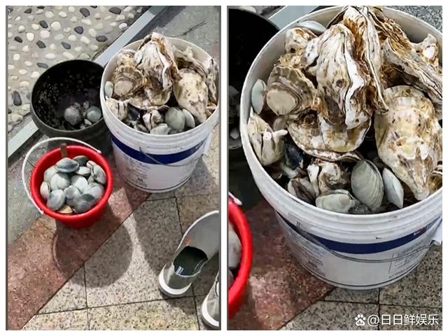 三军过后尽开颜_三军过后尽开颜的三军_台风过后青岛海滩上尽是海鲜