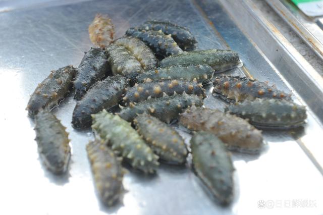 三军过后尽开颜_三军过后尽开颜的三军_台风过后青岛海滩上尽是海鲜