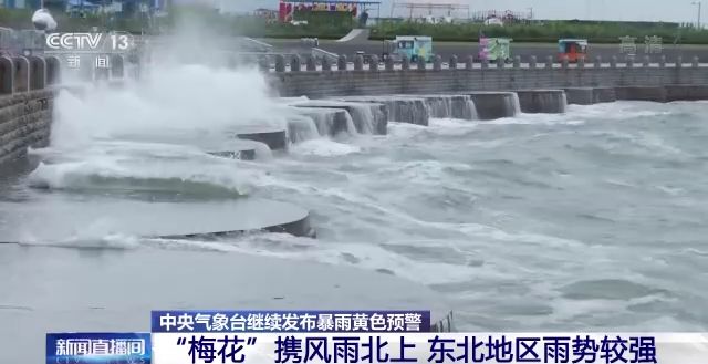 “梅花”今夜或在山东半岛再次登陆_山东教师教育网远程研修登陆_山东蓝色半岛经济区