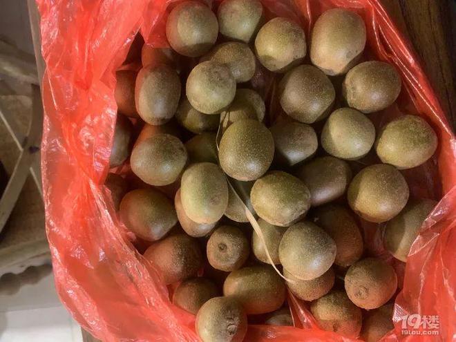 毛线用网格织地毯视频_用毛线织手机袋挂包_爸爸用毛线织蛋糕