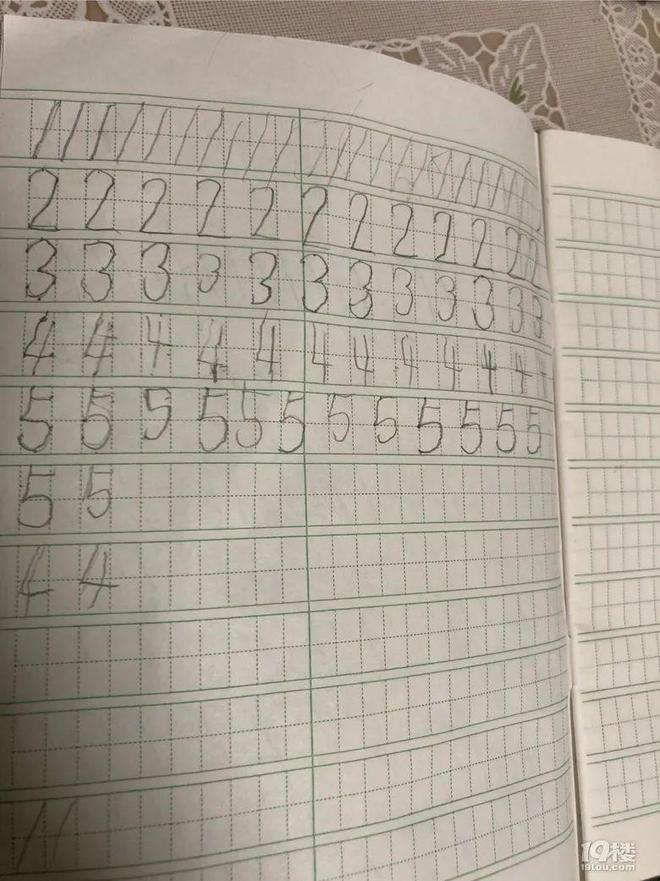 用毛线织手机袋挂包_毛线用网格织地毯视频_爸爸用毛线织蛋糕