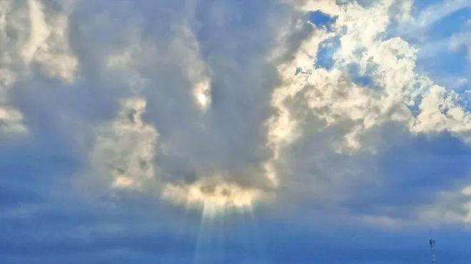 用毛线织手机袋挂包_毛线用网格织地毯视频_爸爸用毛线织蛋糕