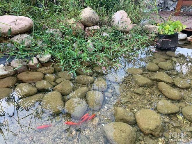 用毛线织手机袋挂包_毛线用网格织地毯视频_爸爸用毛线织蛋糕