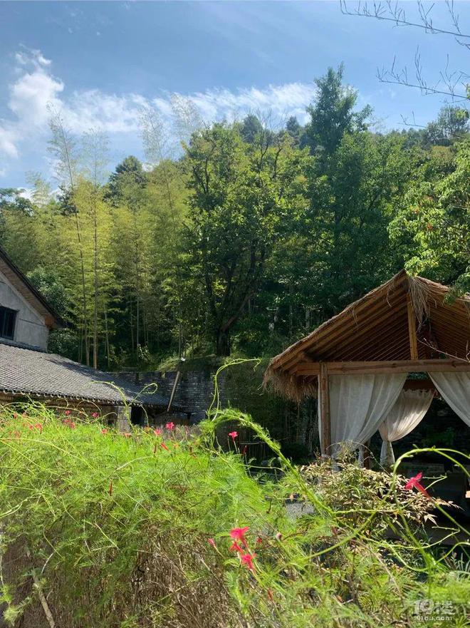 用毛线织手机袋挂包_毛线用网格织地毯视频_爸爸用毛线织蛋糕