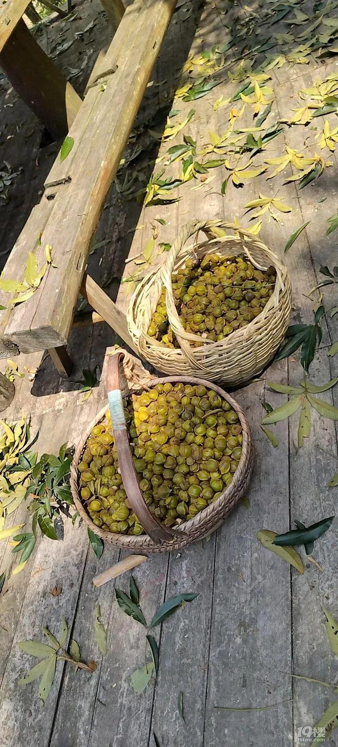 用毛线织手机袋挂包_爸爸用毛线织蛋糕_毛线用网格织地毯视频