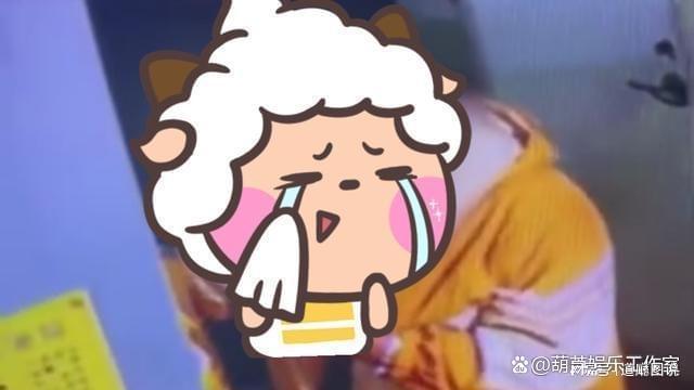 肇庆顺宝天誉老板走佬_大妈顺走外卖 次日被失主偶遇认出_顺走民工钱