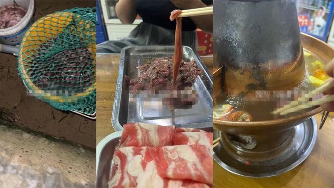 西冲南涌海滩开放了吗_霞涌熊猫海滩_大量肥美海肠涌上烟台海滩