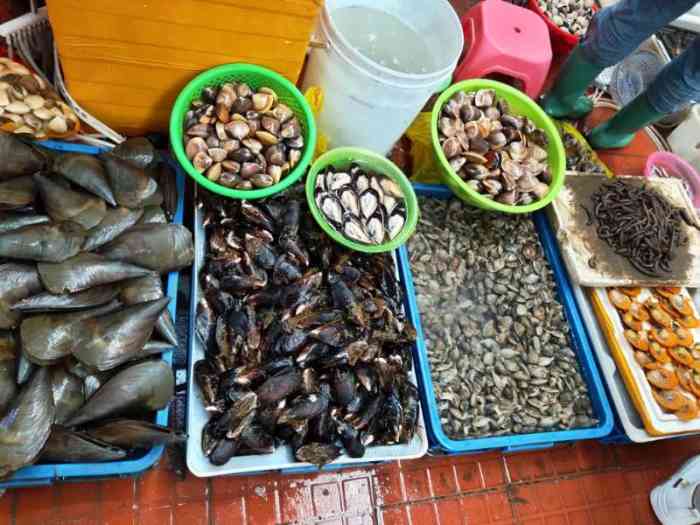 大量肥美海肠涌上烟台海滩_惠州霞涌镇海滩烧烤_深圳霞涌海滩