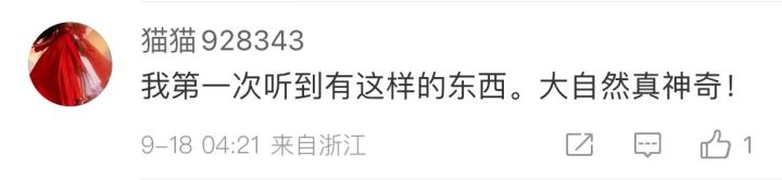 深圳霞涌海滩_大量肥美海肠涌上烟台海滩_惠州霞涌镇海滩烧烤