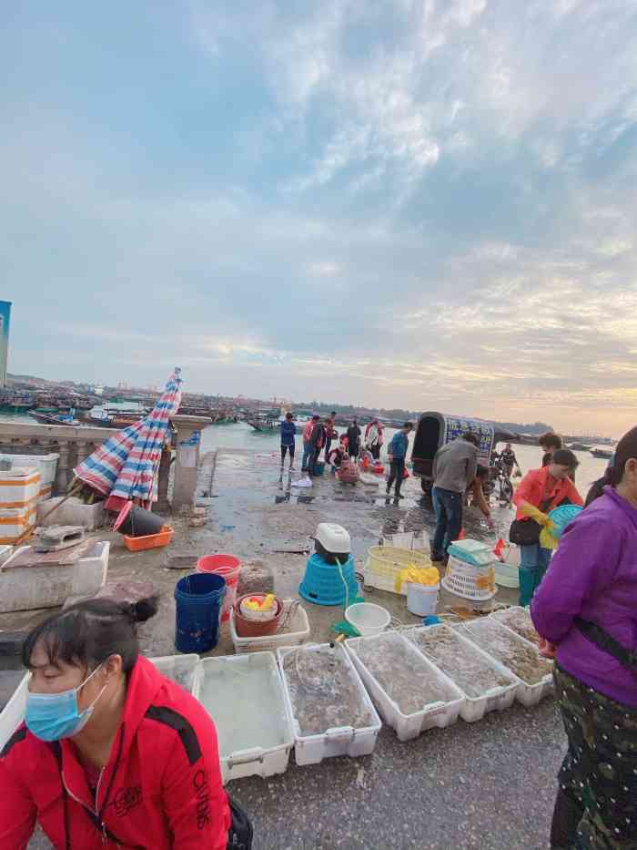 大量肥美海肠涌上烟台海滩_深圳霞涌海滩_惠州霞涌镇海滩烧烤