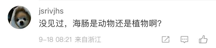 惠州霞涌镇海滩烧烤_大量肥美海肠涌上烟台海滩_深圳霞涌海滩