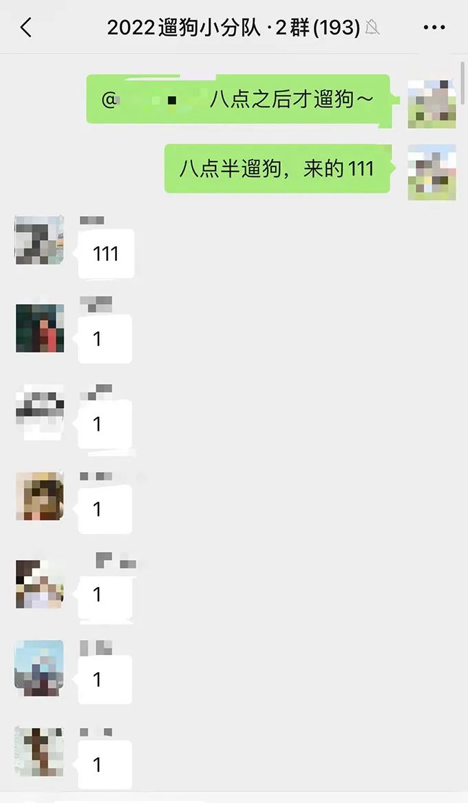 流浪猫狗线上认养_狗咬死流浪猫_狗找狗猫找猫乌龟