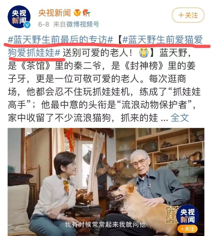 流浪猫妈妈找小奶猫_流浪猫狗线上认养_猫在狗尿上打滚