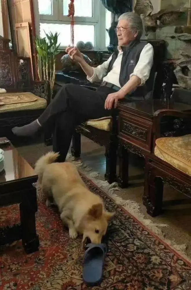 流浪猫妈妈找小奶猫_猫在狗尿上打滚_流浪猫狗线上认养