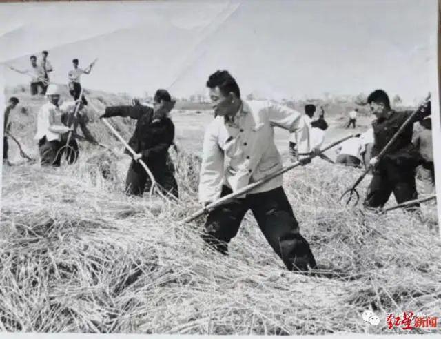 仁寿县县长秦彪遭逮捕_临沂女孩遭父亲性侵_《我的县长父亲》获奖信息遭删除