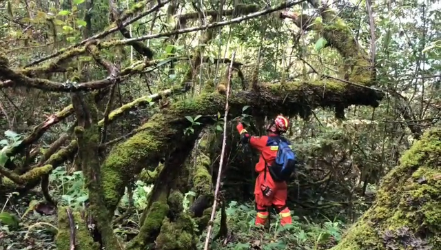 催收怎么找到失联客户_泸定地震失联17天的甘宇已经找到_马航失联飞机已找到视频