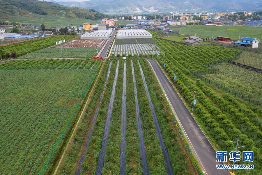 助力上合组织国家农业现代化_国家与国际组织——1.3现代国家的结构形式_双侧乳腺组织增生伴瘤化