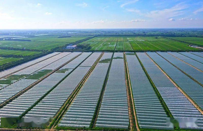 爱帮扶农业助力联盟_助力上合组织国家农业现代化_要化组织涣散,纪律松弛为凝聚力和战斗力