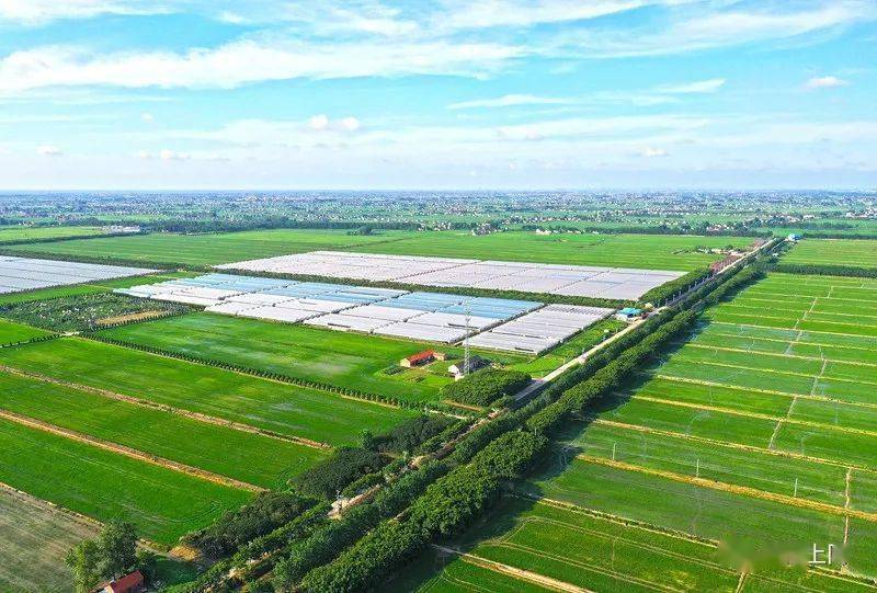 要化组织涣散,纪律松弛为凝聚力和战斗力_助力上合组织国家农业现代化_爱帮扶农业助力联盟