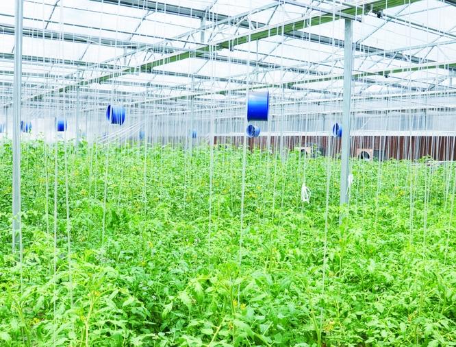 要化组织涣散,纪律松弛为凝聚力和战斗力_爱帮扶农业助力联盟_助力上合组织国家农业现代化