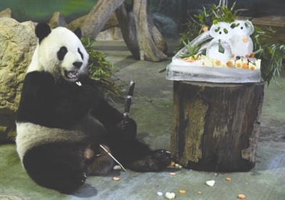 朔斋竹溪盛称鉴台李君谈天小诗戏赠_持台湾通行证可以从台过境香港澳门游玩几天再回大陆吗_大陆赠台大熊猫团团突现癫痫